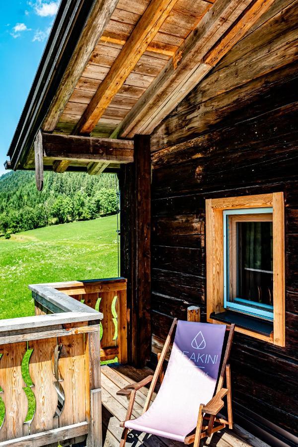 Peakini Farmhaus Villa Untertauern Ngoại thất bức ảnh