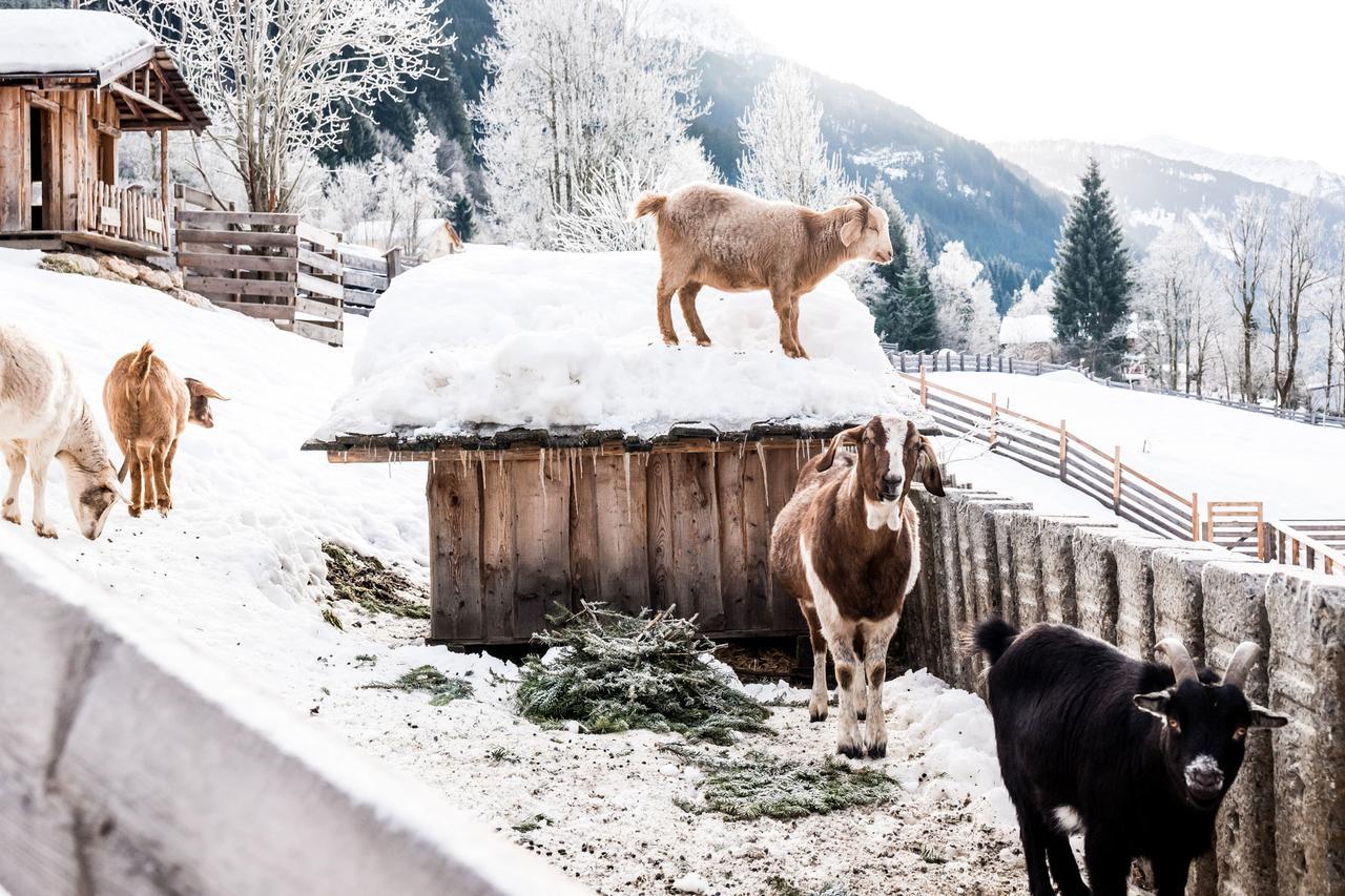 Peakini Farmhaus Villa Untertauern Ngoại thất bức ảnh