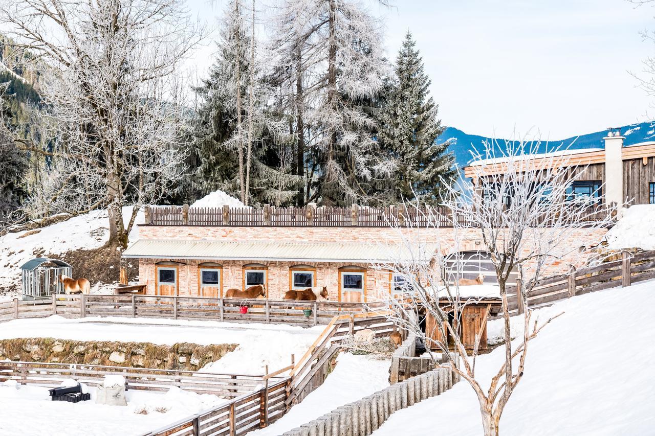 Peakini Farmhaus Villa Untertauern Ngoại thất bức ảnh